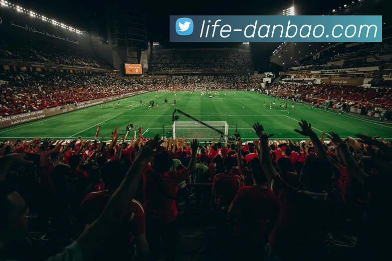 多媒体互动体验