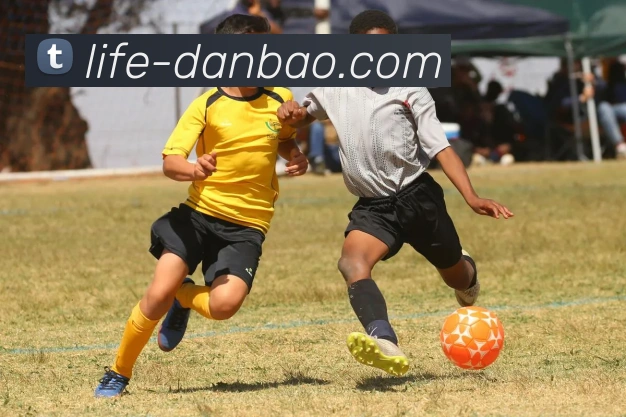 担保官网APP 高清赛事图